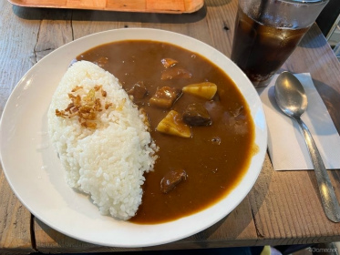 ꡼ No.022 | ԥߥȲܲԤҤޤȪˡPikmin Bloom Tour 2023:ܲθݡȡȯԤˤʹ