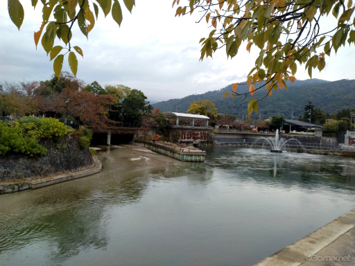 画像ギャラリー No.013のサムネイル画像 / 動物園や発電所がスペシャルスポットに! 京都の名所にいるピクミンたちに出会えた「Pikmin Bloom Tour 2023 : 京都」体験レポート