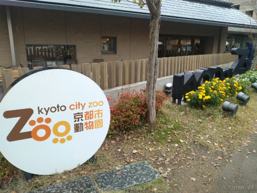 画像ギャラリー No.018のサムネイル画像 / 動物園や発電所がスペシャルスポットに! 京都の名所にいるピクミンたちに出会えた「Pikmin Bloom Tour 2023 : 京都」体験レポート