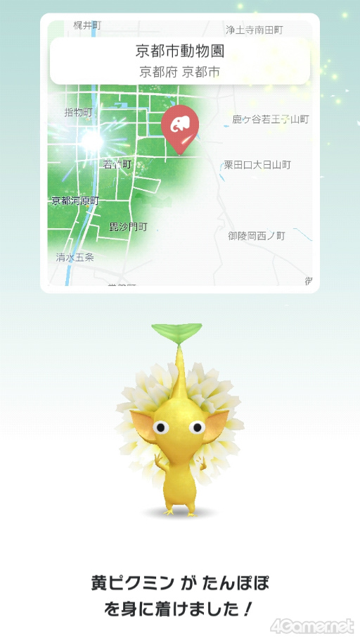 画像ギャラリー No.019のサムネイル画像 / 動物園や発電所がスペシャルスポットに! 京都の名所にいるピクミンたちに出会えた「Pikmin Bloom Tour 2023 : 京都」体験レポート