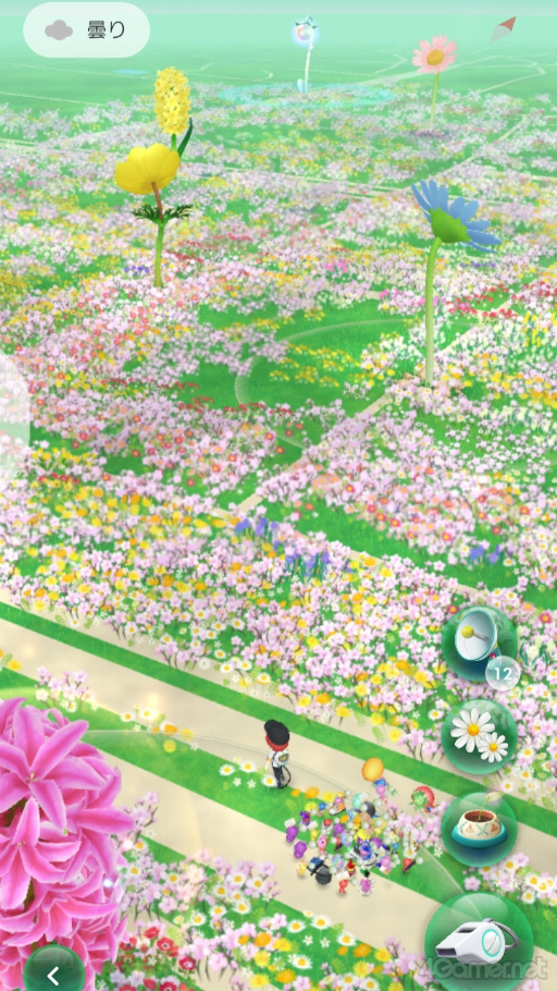 画像ギャラリー No.007のサムネイル画像 / 桜がほころぶ福岡市をピクミンと探索! 「Pikmin Bloom Tour 2024:福岡」体験レポート&運営陣インタビュー