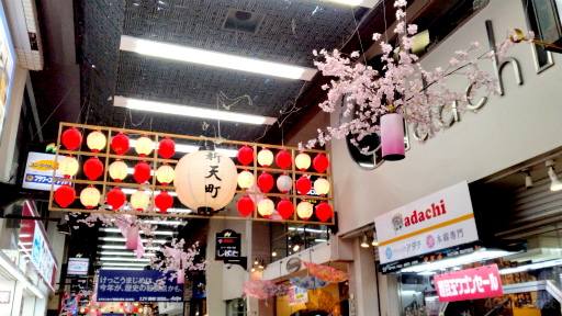 画像ギャラリー No.009のサムネイル画像 / 桜がほころぶ福岡市をピクミンと探索! 「Pikmin Bloom Tour 2024:福岡」体験レポート&運営陣インタビュー