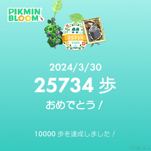 画像ギャラリー No.012のサムネイル画像 / 桜がほころぶ福岡市をピクミンと探索! 「Pikmin Bloom Tour 2024:福岡」体験レポート&運営陣インタビュー