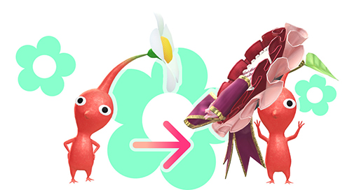 ꡼ No.004 | Pikmin Bloom Journey 2024ɡॷƥ112324ŷꡤå䳫ϡ̤ʥǥMii塼ब館