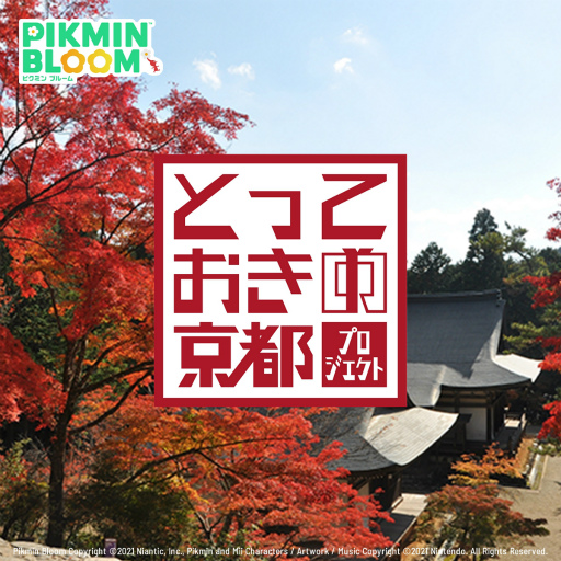 ���������꡼ No.001�Υ���ͥ������ / �Υ��󥿥ӥ塼�ϡ�Pikmin Bloom��3��ǯ�����ץ��������ȡ֡ؤȤäƤ����ε��ԡ٥ݥ��ȥ����ɥ��������פ�̥�Ϥ�Niantic ¼����ͻ��Ĺ�� ����ʹ��