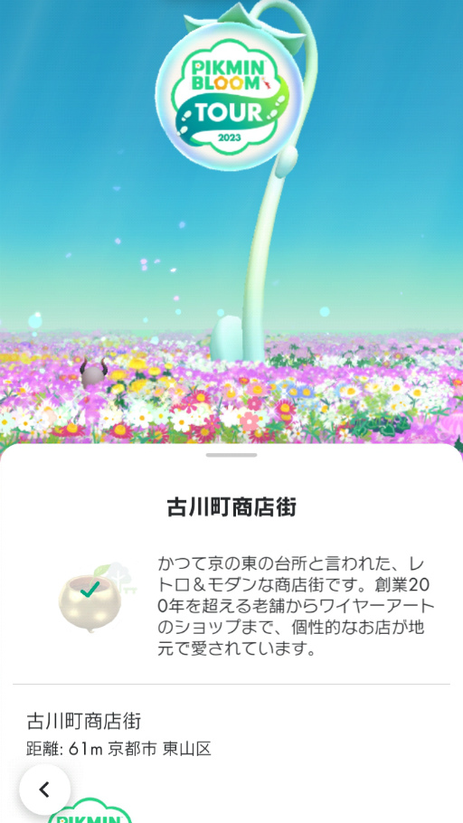 ���������꡼ No.011�Υ���ͥ������ / �Υ��󥿥ӥ塼�ϡ�Pikmin Bloom��3��ǯ�����ץ��������ȡ֡ؤȤäƤ����ε��ԡ٥ݥ��ȥ����ɥ��������פ�̥�Ϥ�Niantic ¼����ͻ��Ĺ�� ����ʹ��