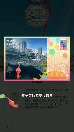 ���������꡼ No.003�Υ���ͥ������ / ��Pikmin Bloom Journey 2024 : ����ɡ��ॷ�ƥ����θ���ݡ��ȡ����٥�Ȥ˹��᤿�ۤ���ʹ���������åե��󥿥ӥ塼�⤪�Ϥ�