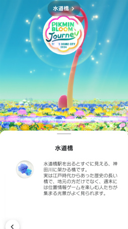 ���������꡼ No.008�Υ���ͥ������ / ��Pikmin Bloom Journey 2024 : ����ɡ��ॷ�ƥ����θ���ݡ��ȡ����٥�Ȥ˹��᤿�ۤ���ʹ���������åե��󥿥ӥ塼�⤪�Ϥ�