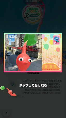 ���������꡼ No.014�Υ���ͥ������ / ��Pikmin Bloom Journey 2024 : ����ɡ��ॷ�ƥ����θ���ݡ��ȡ����٥�Ȥ˹��᤿�ۤ���ʹ���������åե��󥿥ӥ塼�⤪�Ϥ�