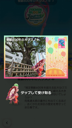 ���������꡼ No.020�Υ���ͥ������ / ��Pikmin Bloom Journey 2024 : ����ɡ��ॷ�ƥ����θ���ݡ��ȡ����٥�Ȥ˹��᤿�ۤ���ʹ���������åե��󥿥ӥ塼�⤪�Ϥ�