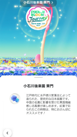 ���������꡼ No.025�Υ���ͥ������ / ��Pikmin Bloom Journey 2024 : ����ɡ��ॷ�ƥ����θ���ݡ��ȡ����٥�Ȥ˹��᤿�ۤ���ʹ���������åե��󥿥ӥ塼�⤪�Ϥ�