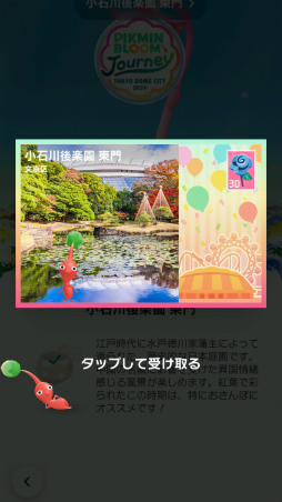 ���������꡼ No.026�Υ���ͥ������ / ��Pikmin Bloom Journey 2024 : ����ɡ��ॷ�ƥ����θ���ݡ��ȡ����٥�Ȥ˹��᤿�ۤ���ʹ���������åե��󥿥ӥ塼�⤪�Ϥ�