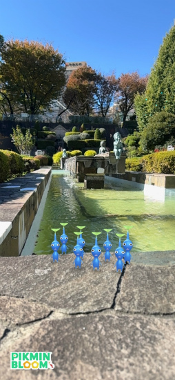 ���������꡼ No.030�Υ���ͥ������ / ��Pikmin Bloom Journey 2024 : ����ɡ��ॷ�ƥ����θ���ݡ��ȡ����٥�Ȥ˹��᤿�ۤ���ʹ���������åե��󥿥ӥ塼�⤪�Ϥ�