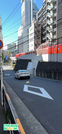 ���������꡼ No.031�Υ���ͥ������ / ��Pikmin Bloom Journey 2024 : ����ɡ��ॷ�ƥ����θ���ݡ��ȡ����٥�Ȥ˹��᤿�ۤ���ʹ���������åե��󥿥ӥ塼�⤪�Ϥ�