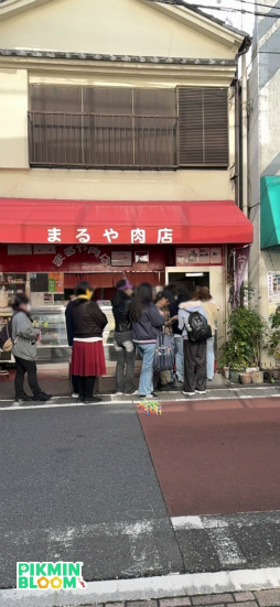 ���������꡼ No.032�Υ���ͥ������ / ��Pikmin Bloom Journey 2024 : ����ɡ��ॷ�ƥ����θ���ݡ��ȡ����٥�Ȥ˹��᤿�ۤ���ʹ���������åե��󥿥ӥ塼�⤪�Ϥ�