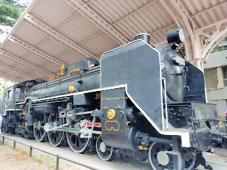 ꡼ No.011Υͥ / ˷ʲԥߥΤԤ򤪤ݡꥢ륤٥ȡPikmin Bloom Journey 2025θݡ