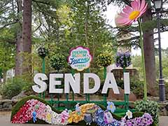 ˷ʲԥߥΤԤ򤪤ݡꥢ륤٥ȡPikmin Bloom Journey 2025θݡ