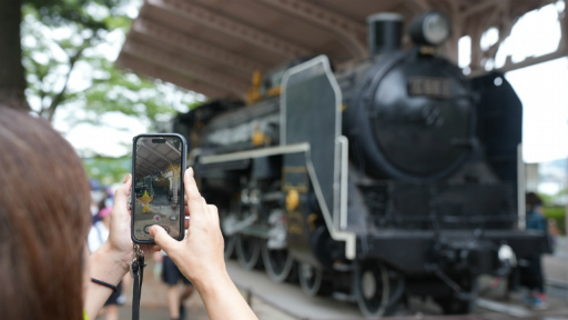 ꡼ No.003 | Υ󥿥ӥ塼ϡPikmin Bloom׻&#64017;ͧɻ᤬롽楤٥Ȥ΢顤ץΤ줫̤ޤ