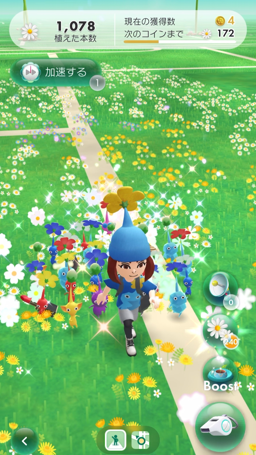 ꡼ No.002 | Pikmin Bloom׽4ǯɹԥߥꤷơޤޤˤ䤫ˡǥԥߥ󤿤ȡʤγ򤪻⤷ޤ󤫡