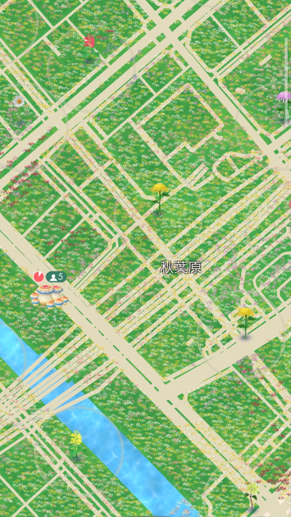 ꡼ No.004 | Pikmin Bloom׽4ǯɹԥߥꤷơޤޤˤ䤫ˡǥԥߥ󤿤ȡʤγ򤪻⤷ޤ󤫡