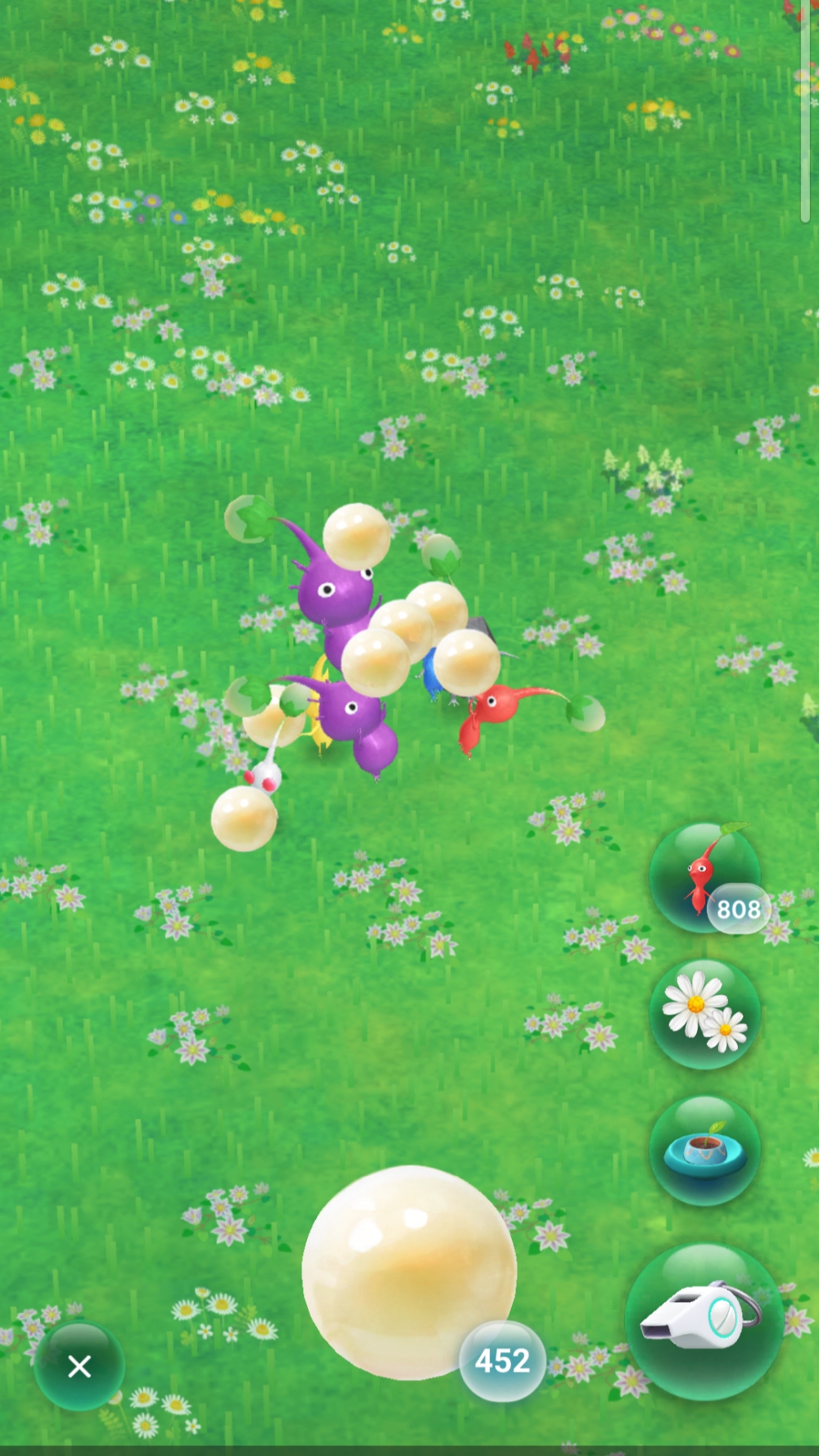 ꡼ No.008 | Pikmin Bloom׽4ǯɹԥߥꤷơޤޤˤ䤫ˡǥԥߥ󤿤ȡʤγ򤪻⤷ޤ󤫡