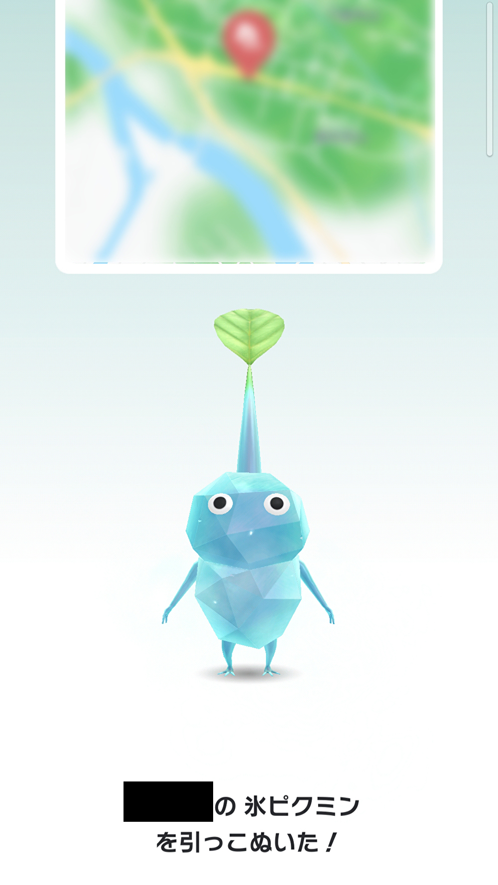 ꡼ No.024 | Pikmin Bloom׽4ǯɹԥߥꤷơޤޤˤ䤫ˡǥԥߥ󤿤ȡʤγ򤪻⤷ޤ󤫡