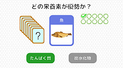 BodyQuest - �ܥǥ�����������