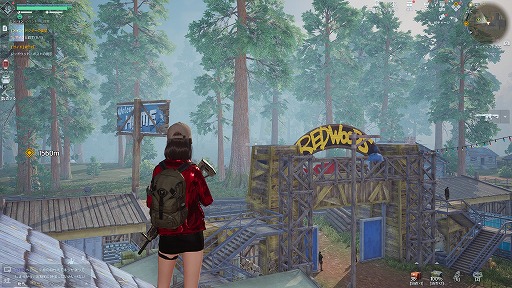 ꡼ No.019 | Υץ쥤ݡ꡼ΥӥХХUndawnסPCǤΥܡɡޥ˺Ŭ줿ȥեåϤ