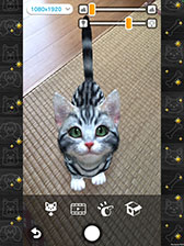 画像ギャラリー No.007のサムネイル画像 / 「with My CAT - 猫とくらそう -」が4月5日にリリース。スマホでペットとふれ合える育成シミュレーションゲーム