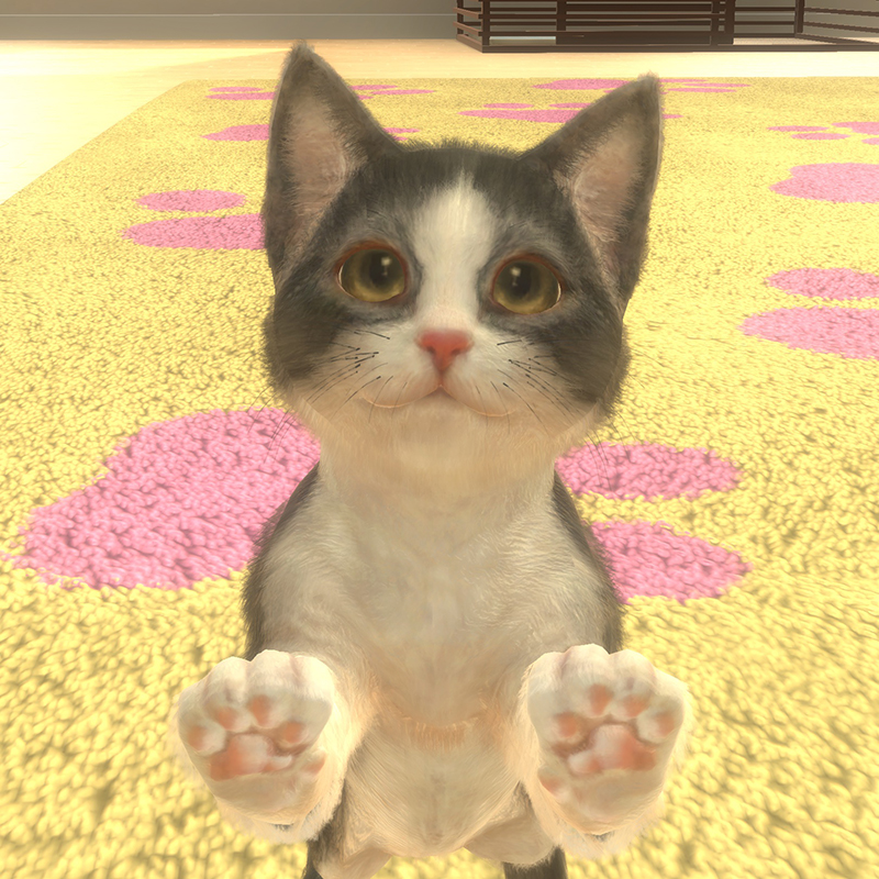 画像集no 005 子猫と出会える育成slg With My Cat 猫とくらそう