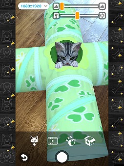 画像ギャラリー No.002のサムネイル画像 / 子猫と出会える育成SLG「with My CAT - 猫とくらそう -」の配信がスタート。プレイヤーの声に子猫が反応する音声認識機能も搭載