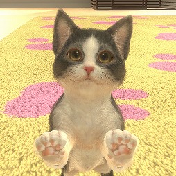 画像ギャラリー No.005のサムネイル画像 / 子猫と出会える育成SLG「with My CAT - 猫とくらそう -」の配信がスタート。プレイヤーの声に子猫が反応する音声認識機能も搭載