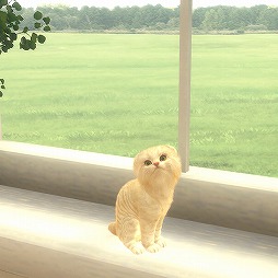 画像ギャラリー No.006のサムネイル画像 / 子猫と出会える育成SLG「with My CAT - 猫とくらそう -」の配信がスタート。プレイヤーの声に子猫が反応する音声認識機能も搭載