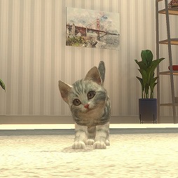 画像ギャラリー No.007のサムネイル画像 / 子猫と出会える育成SLG「with My CAT - 猫とくらそう -」の配信がスタート。プレイヤーの声に子猫が反応する音声認識機能も搭載