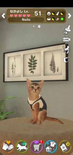 画像ギャラリー No.002のサムネイル画像 / 「with My CAT - 猫とくらそう -」に猫2種が追加。公式SNSで記念キャンペーンが開催中