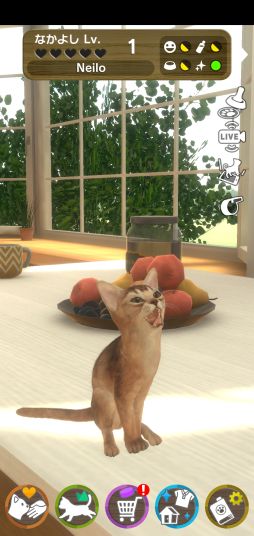 画像ギャラリー No.003のサムネイル画像 / 「with My CAT - 猫とくらそう -」に猫2種が追加。公式SNSで記念キャンペーンが開催中