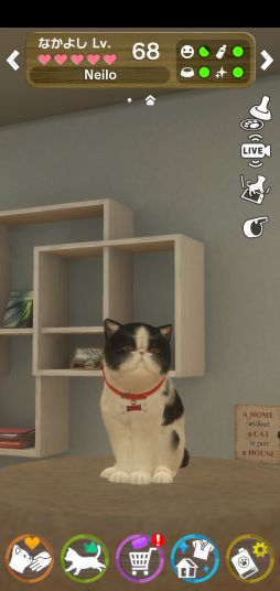 画像ギャラリー No.004のサムネイル画像 / 「with My CAT - 猫とくらそう -」に猫2種が追加。公式SNSで記念キャンペーンが開催中