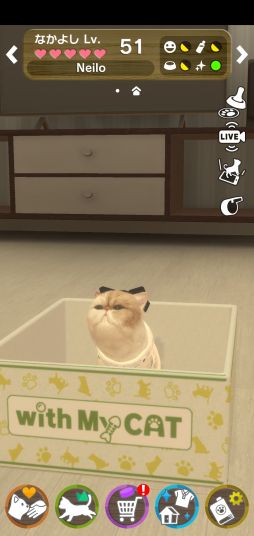 画像ギャラリー No.005のサムネイル画像 / 「with My CAT - 猫とくらそう -」に猫2種が追加。公式SNSで記念キャンペーンが開催中