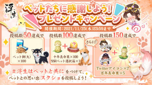 ꡼ No.001Υͥ / FUSHO--סȥڥåȤ˴դ褦ɥץ쥼ȥڡ곫