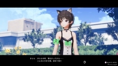 ꡼ No.011Υͥ / BLUE REFLECTION TIE/ײİǭѤڤ뿷塼ࡤޥåפDLC1Ƥۿեȥ⡼ɤΥåץǡȤ