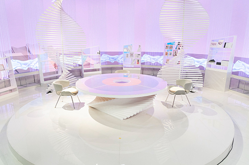 ꡼ No.006Υͥ / ֥ॲΥסֿĹ˾ץ꡼֤813֥ȯۤθ䥯ꥨƥ֤ůؤ