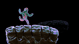 イソーローマズ