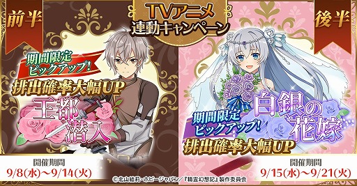 ���������꡼ No.004�Υ���ͥ������ / ������۵����ʥ����ƥ���ס�TV���˥�Ϣư�����ڡ��󤬳���