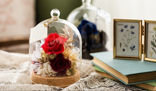 ꡼ No.005Υͥ / ֥ƥ륺 ֡ץ꡼κʤ򥤥᡼ǥΥեɡࡤåå󥫥Сࡼӥåȯˡ򳫻