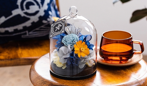 ꡼ No.008Υͥ / ֥ƥ륺 ֡ץ꡼κʤ򥤥᡼ǥΥեɡࡤåå󥫥Сࡼӥåȯˡ򳫻