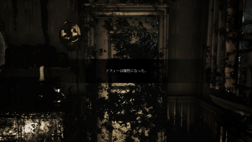 ꡼ No.004Υͥ / ȯΡ֥  ۥ顼ܸǤԥץ쥤еפΡֲۡפ򤫤路Ĥġοۥ顼