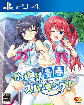 ꡼ No.002Υͥ / ֤̤Ľեѡ󥰡פθǤSwitchǤͽդ⥹