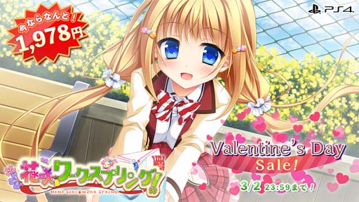 ꡼ No.005 | PS4/Switch֥󥿡 Х󥿥󥻡פŤˡ͵ȥֶ⿧֥åפʤ