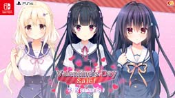 ꡼ No.012 | PS4/Switch֥󥿡 Х󥿥󥻡פŤˡ͵ȥֶ⿧֥åפʤ