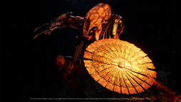 ꡼ No.008 | ֡ǡPredator: Hunting Groundsסۿϡǲ֥ץǥץ꡼ˤоη饤STG